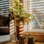 resized_110745